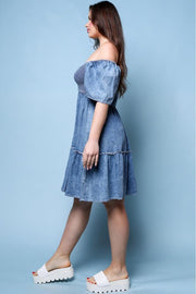 Sophie Denim Dress