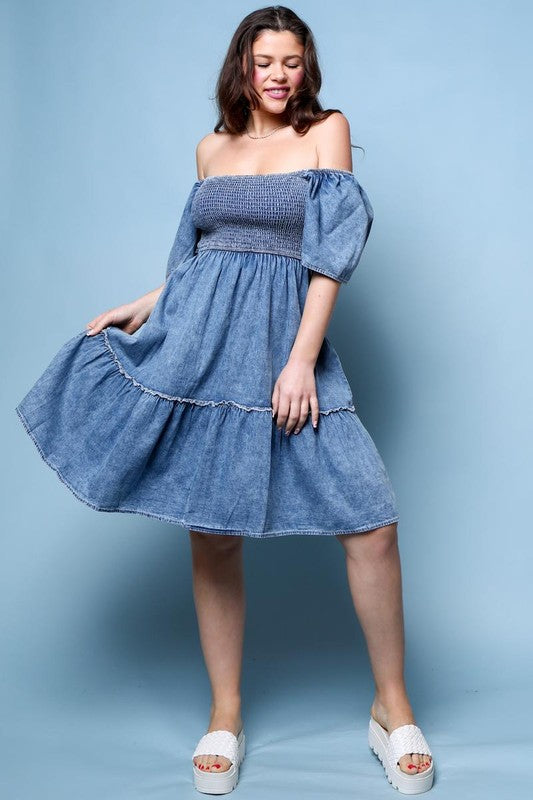 Sophie Denim Dress