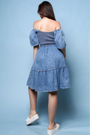 Sophie Denim Dress