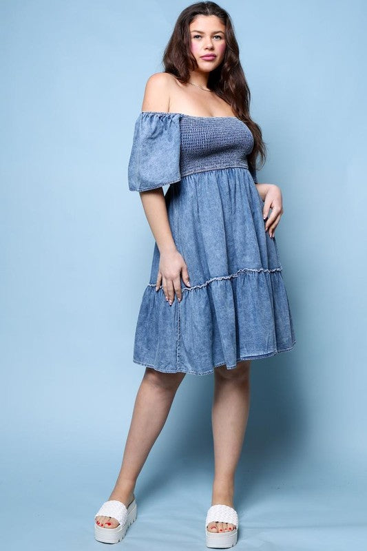 Sophie Denim Dress