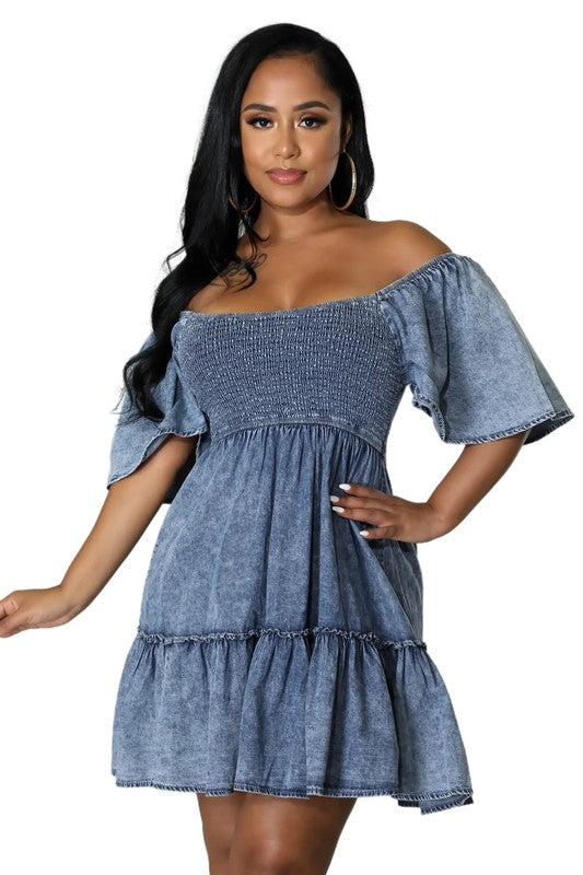 Sophie Denim Dress