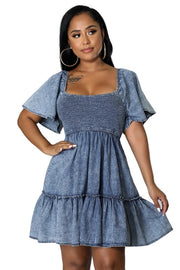 Sophie Denim Dress