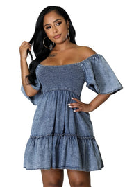 Sophie Denim Dress