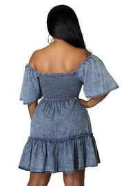 Sophie Denim Dress